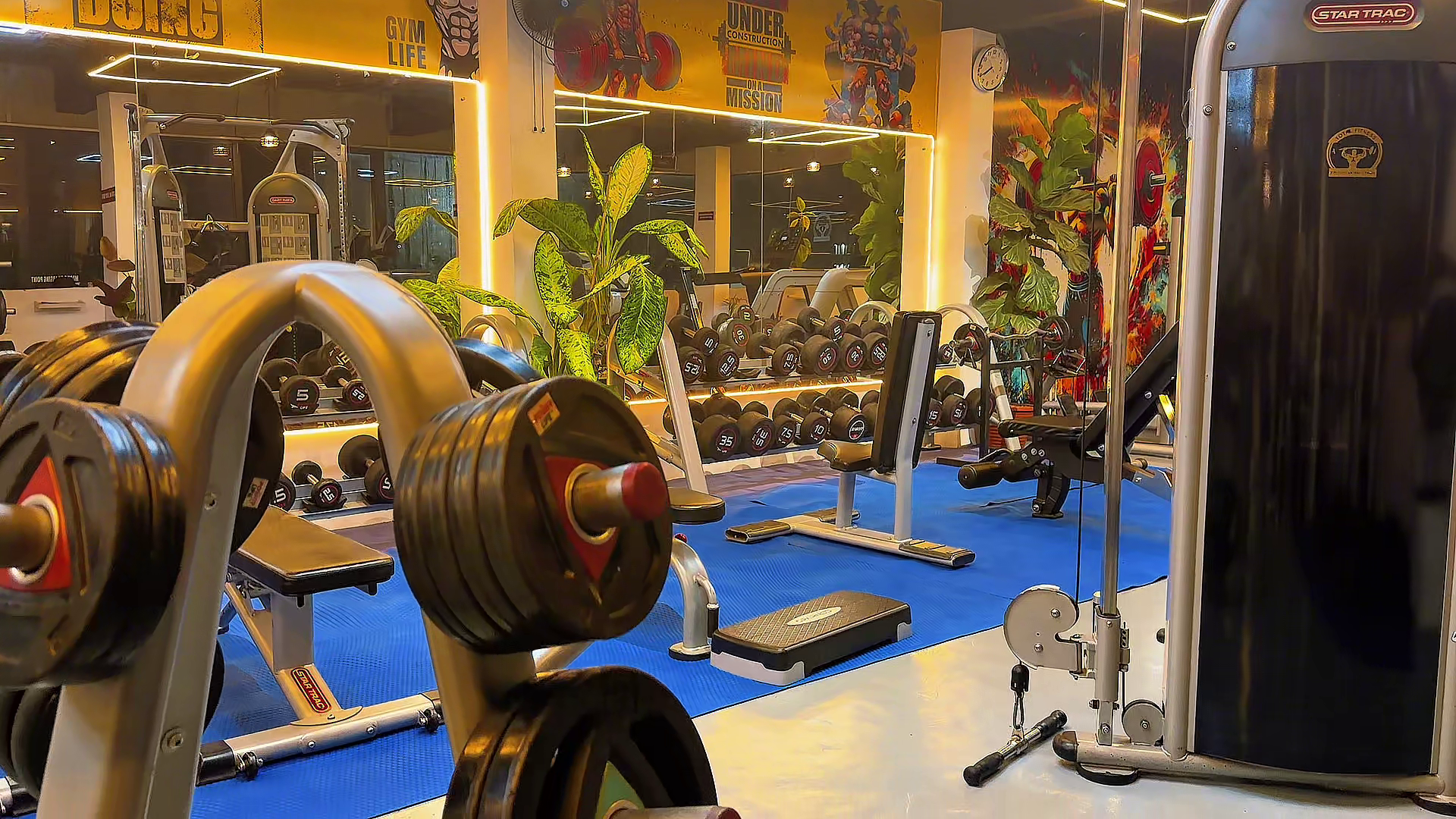 Cardio decks and treadmills